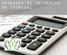 Advogado de imigração em  Tremedal