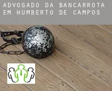Advogado da bancarrota em  Humberto de Campos