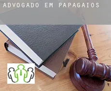 Advogado em  Papagaios