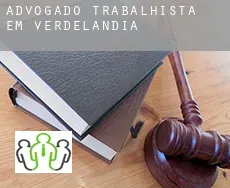 Advogado trabalhista em  Verdelândia