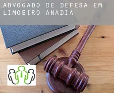 Advogado de defesa em  Limoeiro de Anadia