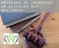Advogado de imigração em  Oliveira dos Brejinhos