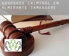 Advogado criminal em  Almirante Tamandaré