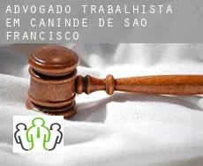 Advogado trabalhista em  Canindé de São Francisco