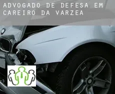 Advogado de defesa em  Careiro da Várzea