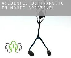 Acidentes de trânsito  em  Monte Aprazível