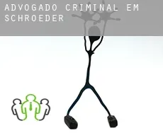 Advogado criminal em  Schroeder