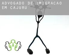 Advogado de imigração em  Cajuru