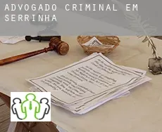 Advogado criminal em Serrinha