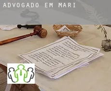 Advogado em  Mari