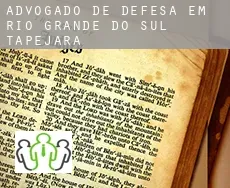 Advogado de defesa em  Tapejara (Rio Grande do Sul)