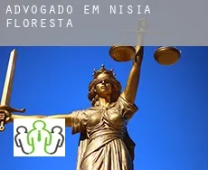Advogado em  Nísia Floresta