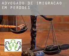 Advogado de imigração em  Perdões