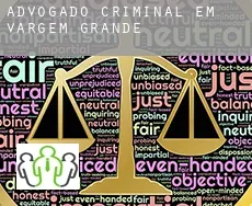 Advogado criminal em  Vargem Grande