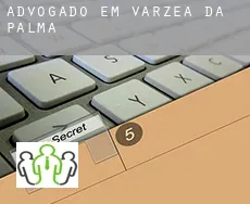 Advogado em  Várzea da Palma