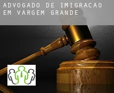 Advogado de imigração em  Vargem Grande