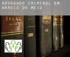 Advogado criminal em  Arroio do Meio