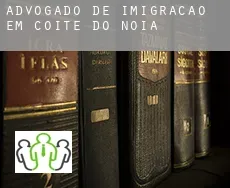 Advogado de imigração em  Coité do Nóia