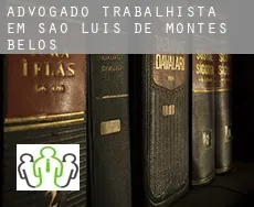 Advogado trabalhista em  São Luís de Montes Belos