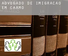 Advogado de imigração em  Carmo
