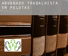 Advogado trabalhista em  Pelotas