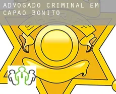 Advogado criminal em  Capâo Bonito