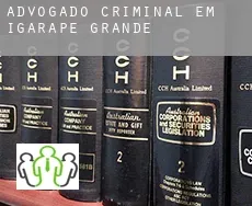 Advogado criminal em  Igarapé Grande
