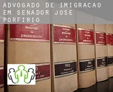 Advogado de imigração em  Senador José Porfírio