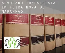 Advogado trabalhista em  Feira Nova do Maranhão