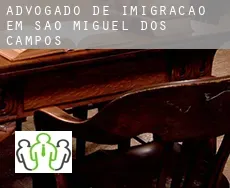 Advogado de imigração em  São Miguel dos Campos