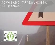 Advogado trabalhista em  Camamu