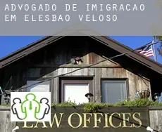 Advogado de imigração em  Elesbão Veloso