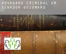 Advogado criminal em  Senador Guiomard