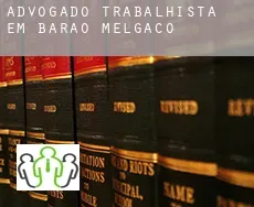 Advogado trabalhista em  Barão de Melgaço
