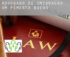 Advogado de imigração em Pimenta Bueno