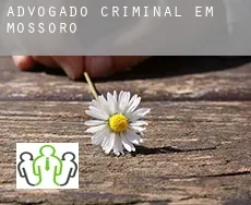 Advogado criminal em  Mossoró