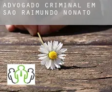 Advogado criminal em  São Raimundo Nonato