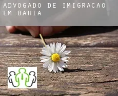 Advogado de imigração em  Bahia