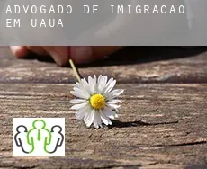 Advogado de imigração em  Uauá