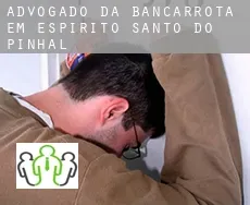 Advogado da bancarrota em  Espírito Santo do Pinhal