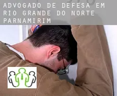 Advogado de defesa em  Parnamirim (Rio Grande do Norte)