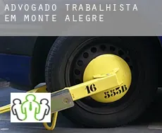 Advogado trabalhista em  Monte Alegre