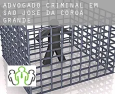 Advogado criminal em  São José da Coroa Grande