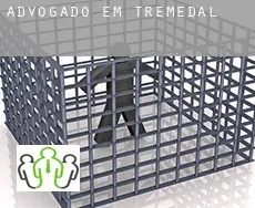 Advogado em  Tremedal
