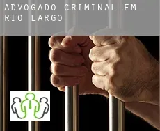 Advogado criminal em Rio Largo