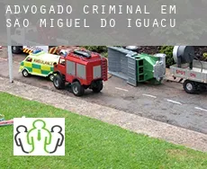 Advogado criminal em  São Miguel do Iguaçu