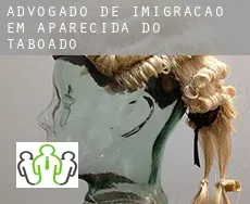 Advogado de imigração em  Aparecida do Taboado