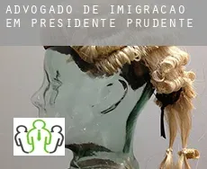 Advogado de imigração em  Presidente Prudente