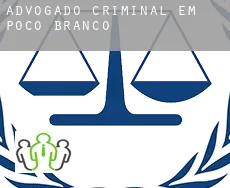 Advogado criminal em  Poço Branco