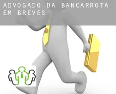 Advogado da bancarrota em Breves